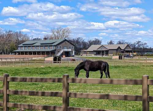 A black horse grazes in a green field near a barn and other buildings under a blue sky with fluffy clouds.