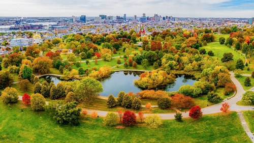 Aerial view of a vibrant park with colorful trees and a pond, overlooking a city skyline in the background.