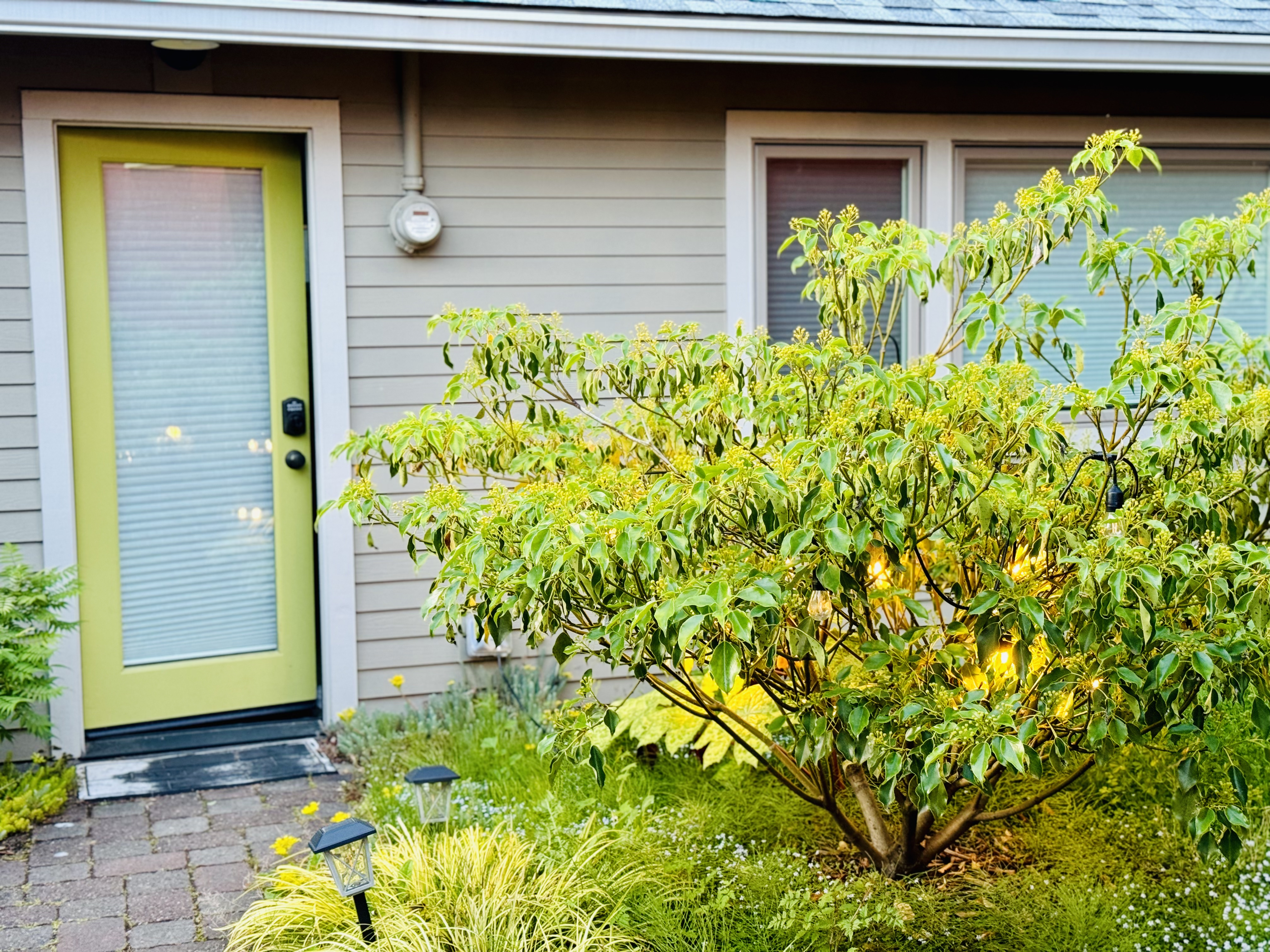 Discover the Best Airbnb in Portland: Urban Cottage Experience