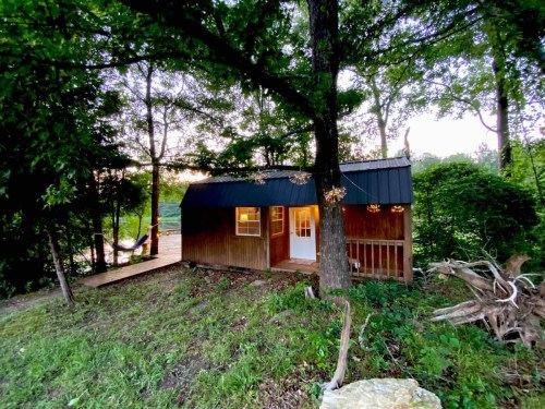 A small wooden cabin nestled among trees, with a porch and a hammock nearby, surrounded by greenery.