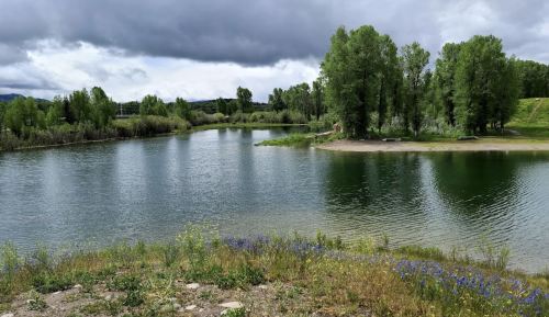 A serene lake surrounded by green trees and wildflowers under a cloudy sky.