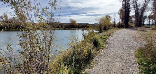 A serene riverside path lined with autumn foliage under a cloudy sky.