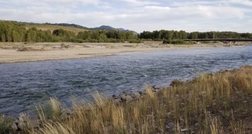 A serene river flows through a landscape of grass and trees, with mountains in the background under a cloudy sky.