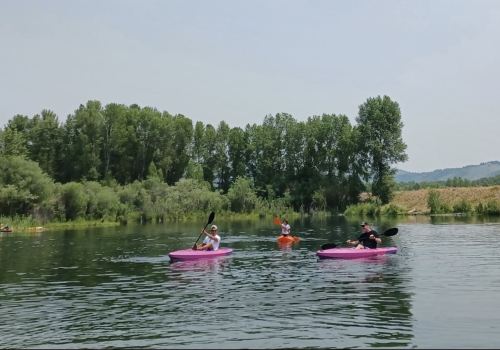 Three people kayaking on a calm river surrounded by lush greenery and trees under a clear sky.