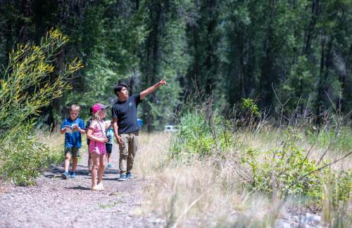 A group of children walking on a trail, with one pointing towards something in the distance among trees and greenery.