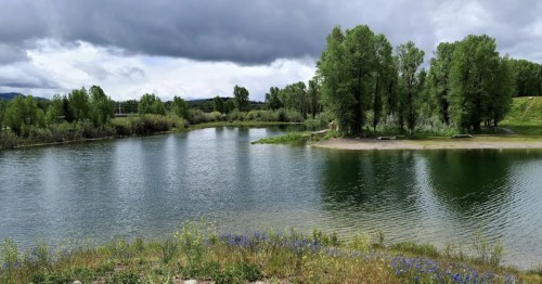 A serene lake surrounded by lush green trees and wildflowers under a cloudy sky.