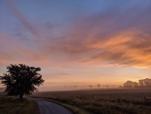 A serene landscape at dawn, featuring a winding road, misty fields, and a tree silhouetted against a colorful sky.