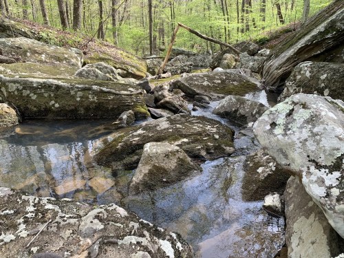 A serene stream flows through a rocky landscape, surrounded by lush green trees and moss-covered boulders.