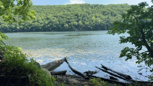A serene river scene with lush green hills, calm water, and fallen logs along the shore under a clear blue sky.