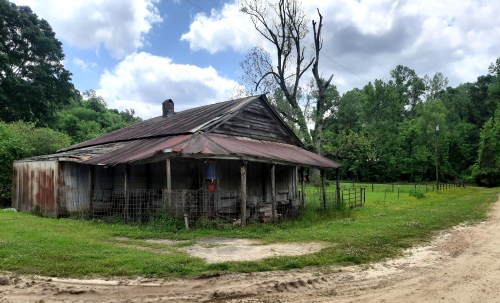 An old, weathered house with a rusty roof, surrounded by greenery and a dirt road under a cloudy sky.