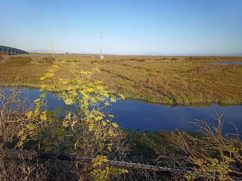 A serene landscape featuring a river, grassy marshland, and distant mountains under a clear blue sky.