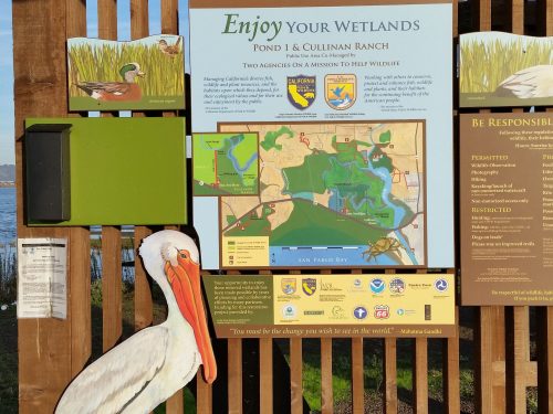 Signboard about wetlands conservation featuring a map, wildlife information, and a white pelican in the foreground.