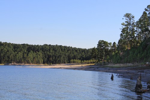 A serene lakeside view with calm water, sandy shore, and lush green trees lining the background under a clear blue sky.