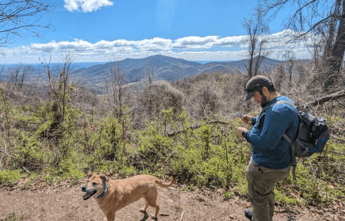 A person with a backpack checks their phone while hiking with a dog, surrounded by mountains and blue skies.
