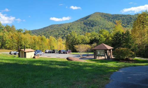 Scenic view of a parking area surrounded by trees and mountains under a clear blue sky.