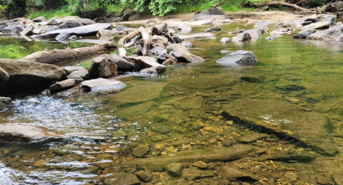 A serene river scene with clear water, rocks, and greenery along the banks, creating a peaceful natural setting.