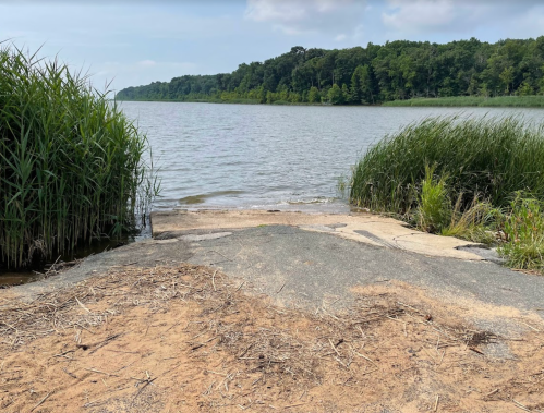 A serene lakeside view with tall grasses on either side and calm water under a partly cloudy sky.