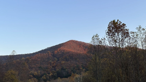 A mountain with autumn foliage under a clear blue sky, showcasing vibrant orange and yellow leaves.
