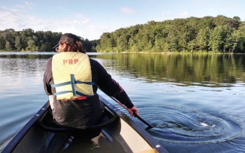 A person in a canoe paddles on a calm lake surrounded by trees under a clear sky.