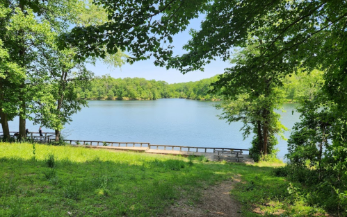 A serene lake surrounded by lush greenery, with a wooden path and benches along the shore under a clear blue sky.