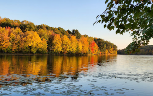 A serene lake surrounded by vibrant autumn trees reflecting in the water under a clear sky.