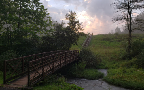 A wooden bridge crosses a stream in a misty, green landscape with trees and a path leading up a hill.