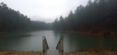 A misty lake surrounded by trees, with a wooden dock leading into the water.