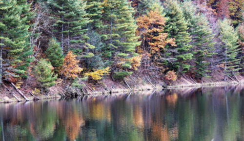A serene lake reflecting colorful autumn trees along its shore, surrounded by lush greenery.