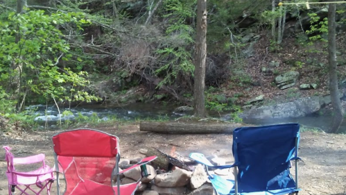 Two camping chairs in red and blue sit by a fire pit near a stream, surrounded by trees and greenery.