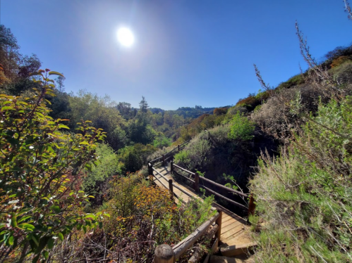 A wooden bridge winds through lush greenery under a bright sun in a serene natural landscape.