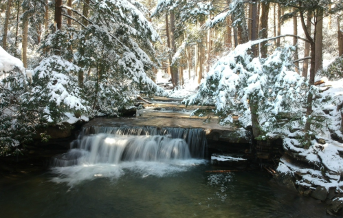 A serene winter scene featuring a small waterfall surrounded by snow-covered trees and a tranquil pool of water.