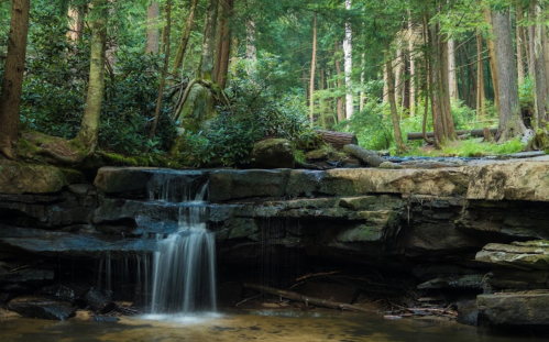 A serene forest scene featuring a small waterfall cascading over rocks, surrounded by lush greenery and trees.