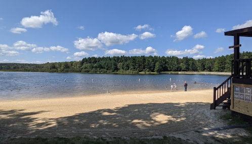 A sandy beach by a calm lake, with people enjoying the water and trees in the background under a blue sky with clouds.
