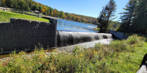 A serene landscape featuring a waterfall flowing over a dam, surrounded by trees and a calm lake under a clear blue sky.