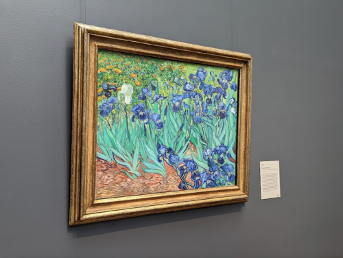 A framed painting of vibrant blue irises against a colorful background, displayed on a gray wall.
