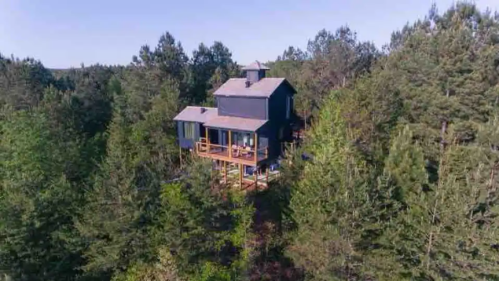 A modern black cabin perched among tall trees, surrounded by lush greenery and clear blue skies.