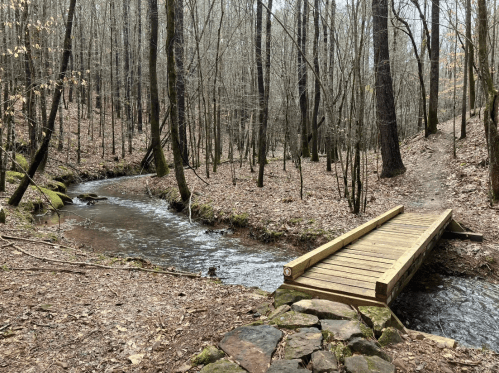 A wooden bridge crosses a small stream in a forest with bare trees and a leaf-covered ground.