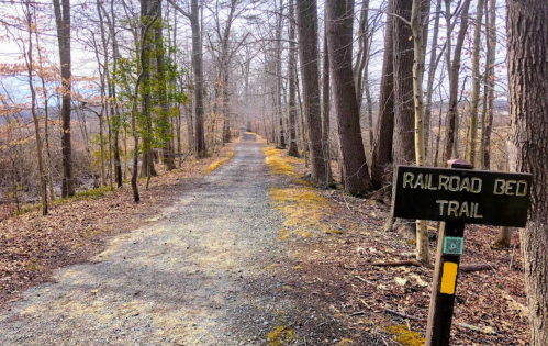 A gravel path lined with bare trees, leading to a sign that reads "Railroad Bed Trail."