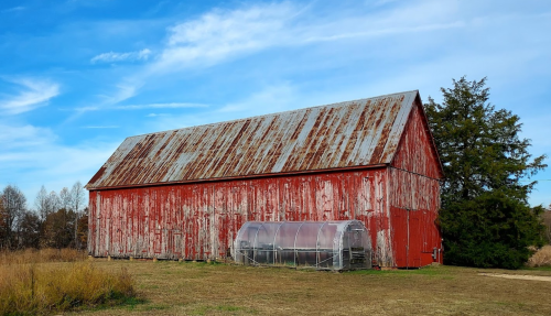 A weathered red barn with a metal roof stands beside a greenhouse, set against a blue sky and grassy field.