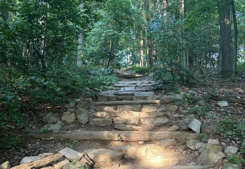 A rocky trail winds upward through a lush green forest, dappled sunlight illuminating the path.
