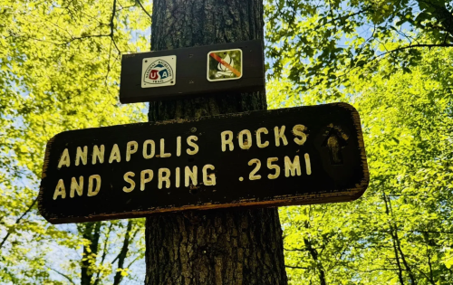 Sign for Annapolis Rocks and Spring, indicating a distance of 0.25 miles, surrounded by green trees.