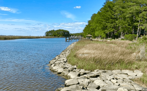 A serene riverbank lined with rocks, tall grass, and trees under a clear blue sky.