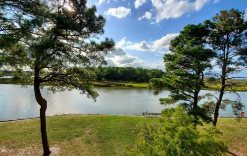 A serene view of a lake surrounded by trees under a partly cloudy sky. Green grass in the foreground.