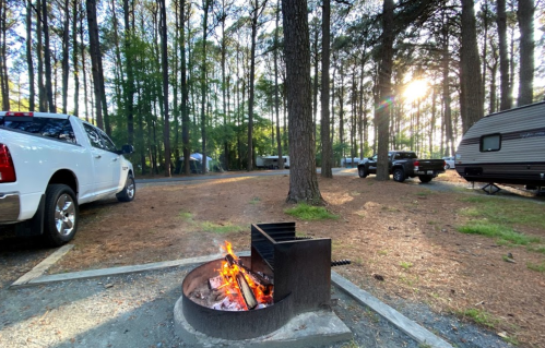 A campfire burns in a metal ring, surrounded by trees, with parked trucks and campers in the background.