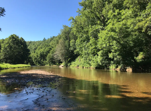 A serene river flows through a lush green landscape under a clear blue sky, surrounded by trees and rocky banks.