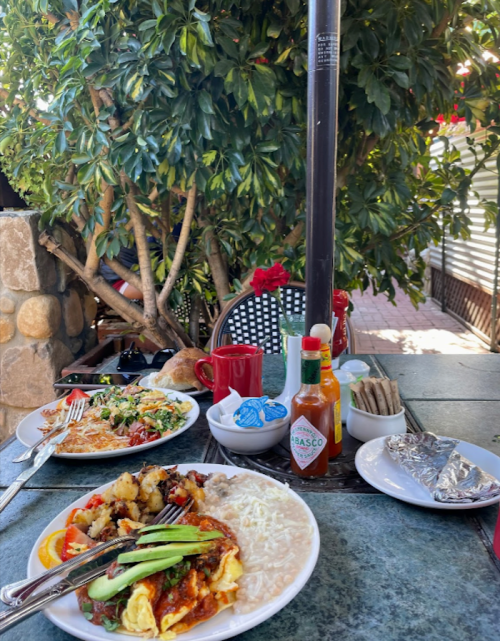 A table set with two plates of food, a red mug, hot sauce, and a tree in the background at an outdoor dining area.