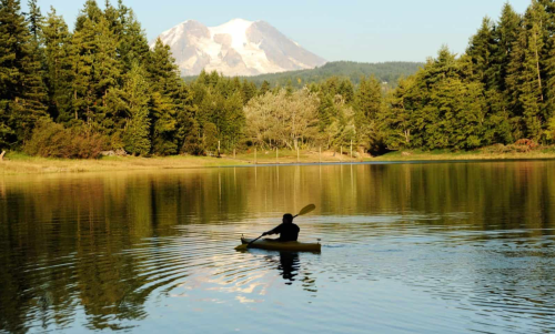 A person kayaking on a calm lake with a snow-capped mountain in the background, surrounded by trees.