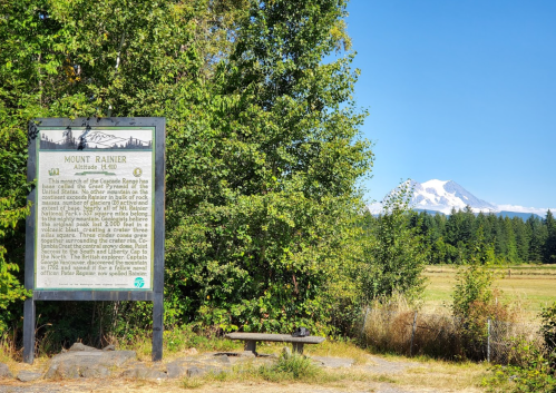 Sign about Mount Rainier with the mountain visible in the background, surrounded by trees and open fields.