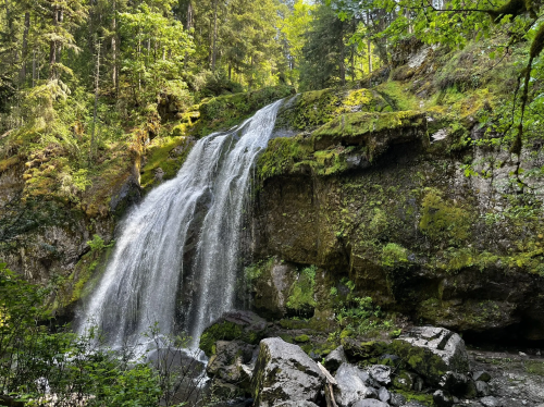 A serene waterfall cascades over moss-covered rocks, surrounded by lush green trees and foliage.