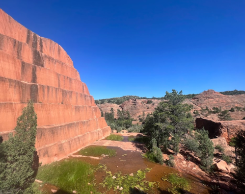 Red rock formations rise against a clear blue sky, with greenery and a small body of water in the foreground.